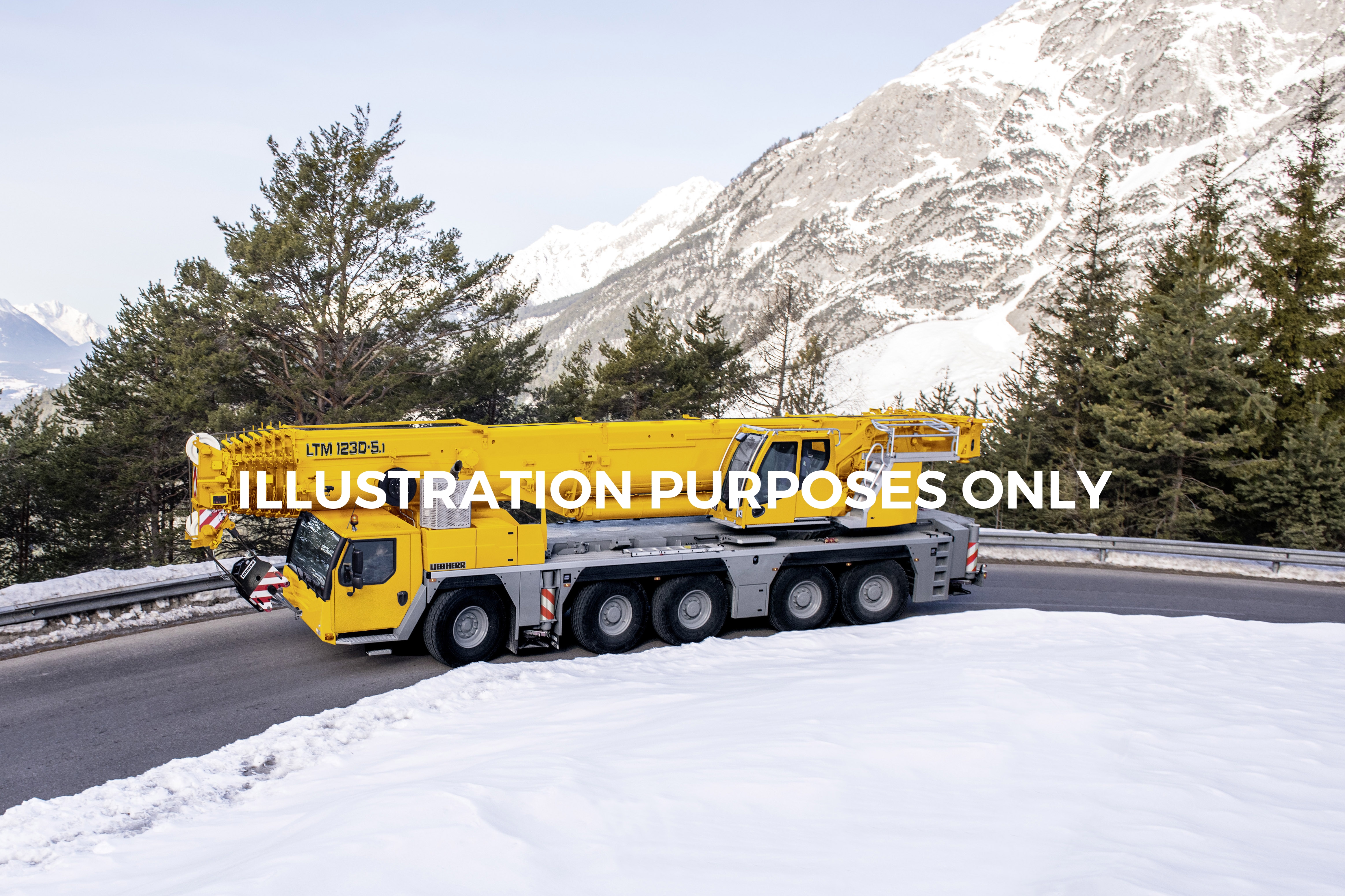 Liebherr LTM 1230-5.1 (230 t) CODE: 1646